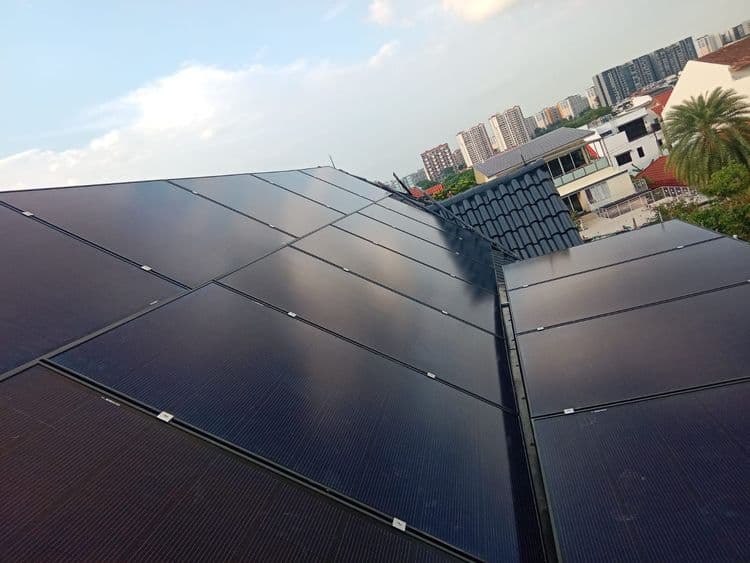 Risen+Solis25
